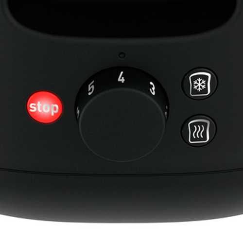 Tostador Moulinex LT340811