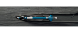 Steam iron Rowenta Dx1550d1
